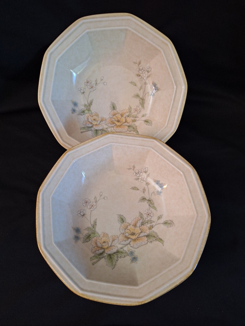 Set Of 2 Mikasa Stoneware Cereal Soup Bowls Avante Napoli